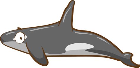 Orca png graphic clipart design 19045792 PNG