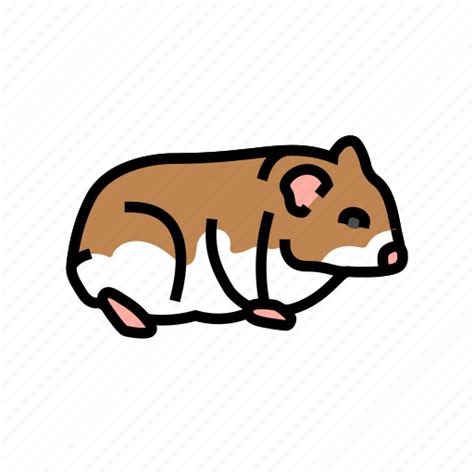 Hamster Standing Pet Cute Animal Funny Icon Download On Iconfinder