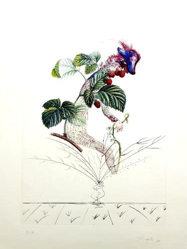 Salvador Dali Raspberry Original Hand Signed Lithograph 1969 For