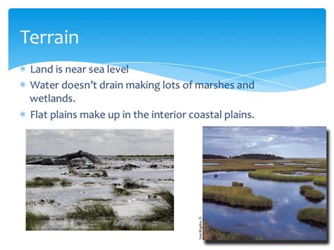 Texas Regions Project: Coastal Plains Region