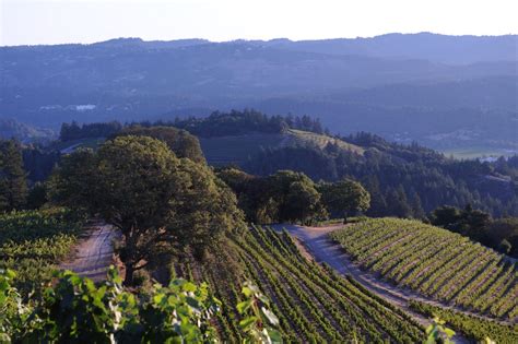 Spring Mountain Napa Valley Wine Country California Future Travel