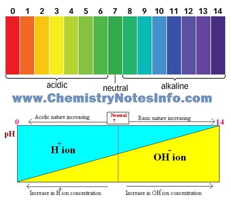 Ph Acid And Base Scale