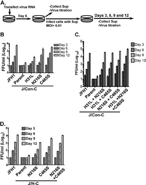 Adaptive Mutations Enhance Chimeric Virus Production A Steps For