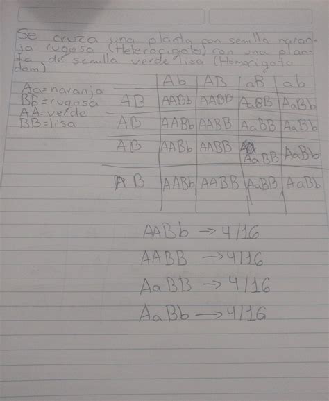 Se Cruza Una Planta Con Semilla Naranja Rugosa Heterocigoto Con Una