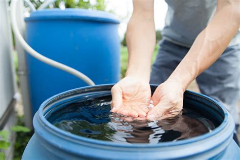 Man Collecting Rainwater In Barrel Stock Photo - Download Image Now ...