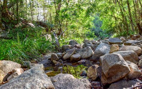 Woondum National Park and Mothar Mountain Rocks Pools - Gympie Region