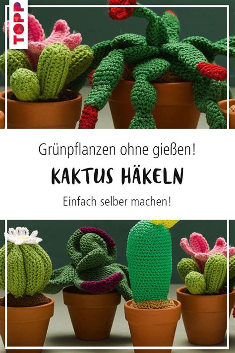 Ganz ohne gießen häkel dir einen kaktus Artofit