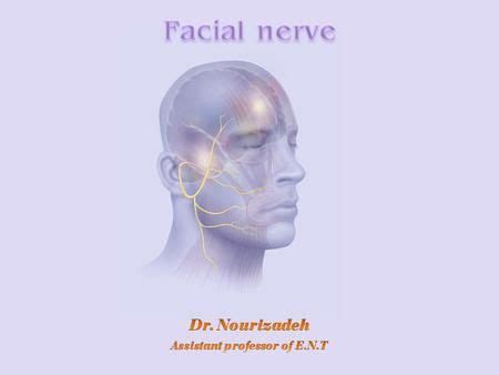 Facial Nerve Paralysis - ppt download | Facial nerve, Muscles of facial ...