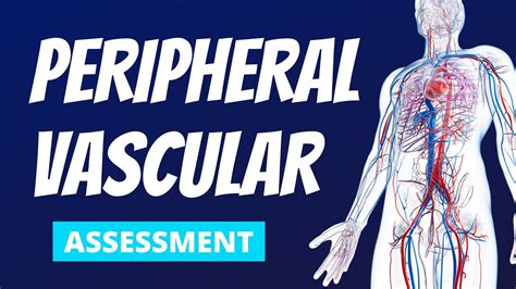 Peripheral Vascular Extremities Focused Nursing Assessment The Most