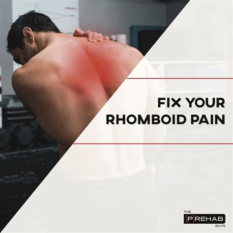 How To Fix Rhomboid Pain P Rehab Exercise Muscle Stretches