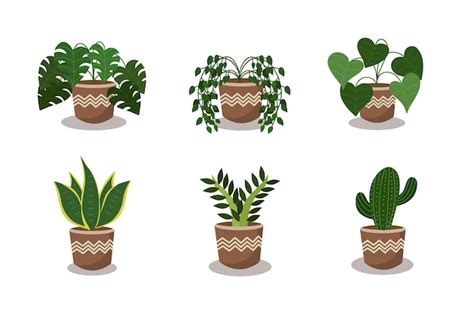 Premium Vector Hand Drawn Flat Houseplant Collection