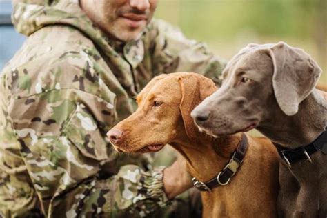 Tu es passionné e de chasse et tu as envie de travailler dans ta