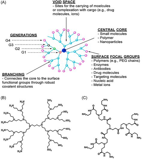 Advances and applications of nanoparticles in cancer therapy