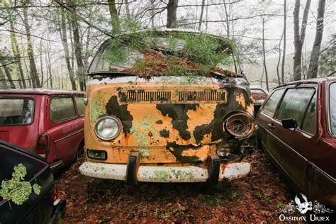 Vw Bus Graveyard