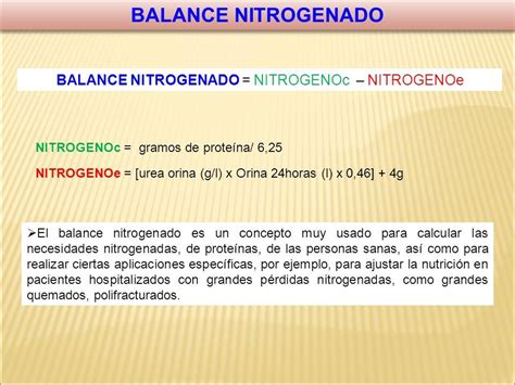 METABOLISMO DE LOS AMINOÁCIDOS 1 Esquema General del Metabolismo de