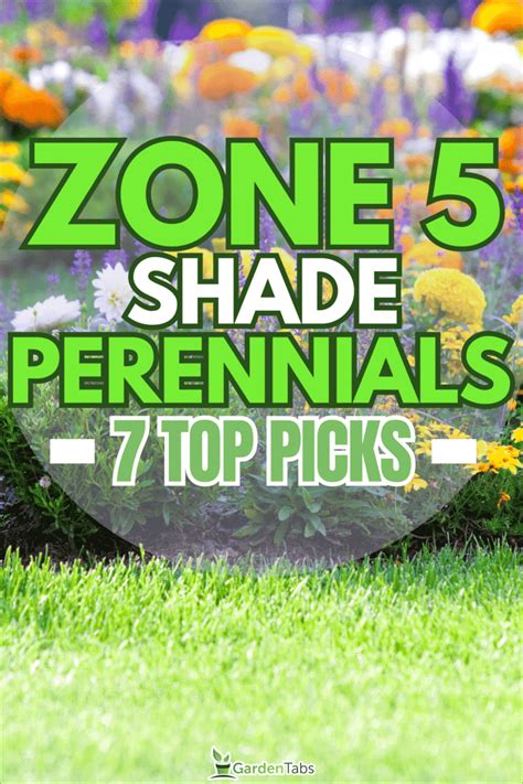 7 Zone 5 Perennials For Shade [Or Partial Shade]