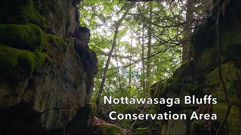 Nottawasaga Bluffs YouTube