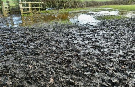 Country Paths Walkways Turned Quagmire After Editorial Stock Photo