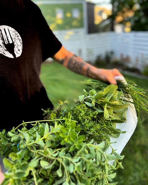 Food critics are giving ten tables five-star reviews today 30