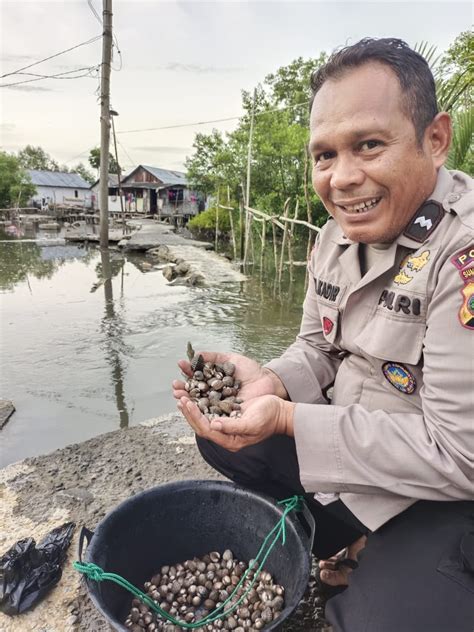 Mantap Aipda Abdul Kadhir Sukses Budidaya Kerang Di Medan Dan Tembus