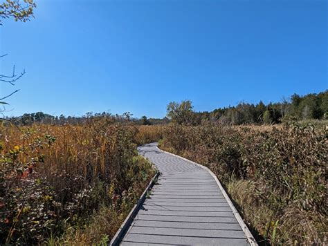 25 Best Ontario Provincial Parks for Hiking, Camping & More