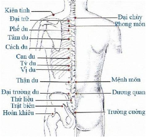 huyet cach du vi tri tac dung cach bam huyet jpxsport