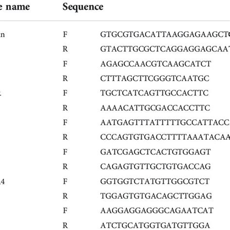 Primers Used For Quantitative Polymerase Chain Reaction Download