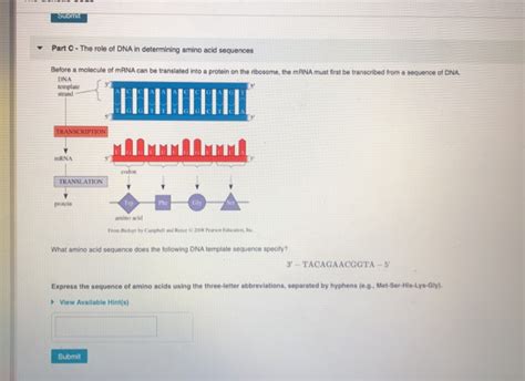 Protein Synthesis 1 Of 3 Overview Bioflix Tutorial