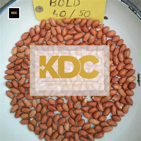 Raw Bold Peanut Kernels At Rs 82 Kg Raw Peanut Kernel In Jodhpur ID