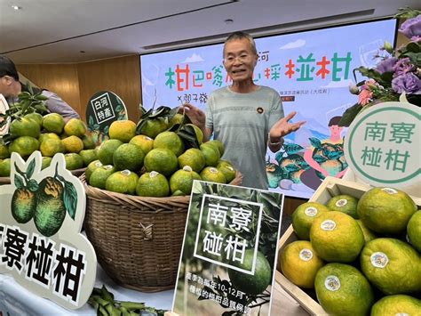 知名南寮椪柑上市 爬山採柑、關仔嶺住宿泡溫泉送調酒 雲嘉南 地方 聯合新聞網