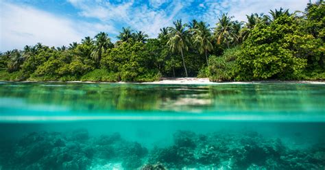 Sun, sea, and sustainability, how the Caribbean islands are leading the ...