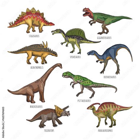 Colored illustrations of different dinosaurs types. Tyrannosaurus, rex and stegosaurus Stock ...