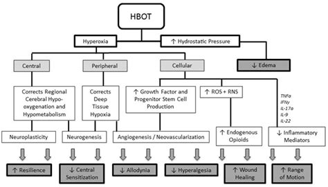 Clinical Considerations For Implanted Neurological Devices In Patients