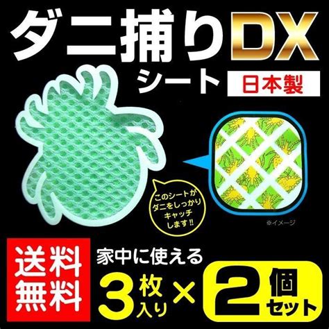 ダニ捕りシートdx 3枚入×2個セット 3カ月用 日本製 虫よけ 虫除け ダニ取り ダニシート メール便 送料無料 ゆうパケット