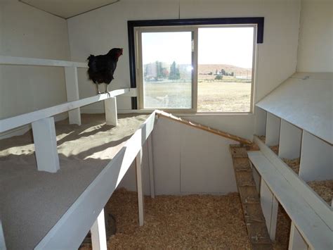 Diy Chicken Coop Interior | chicken coop modern