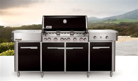 Gas Barbecue Summit Weber Usa Fixed Stainless Steel