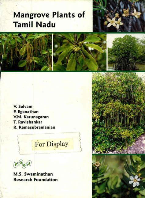 Pdf Mangrove Plants Of Tamil Nadu