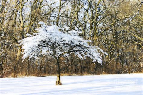 Stand Out From The Crowd Photograph By Patty Colabuono Fine Art America