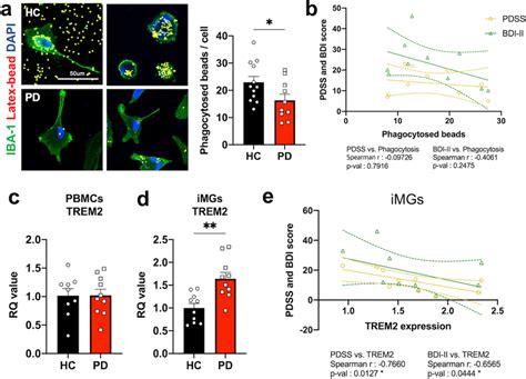 The Phagocytic Function Relevance Of Pd Imgs To Panic Symptoms A The