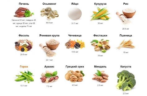 В каких продуктах содержится меланин: список продуктов богатых меланином