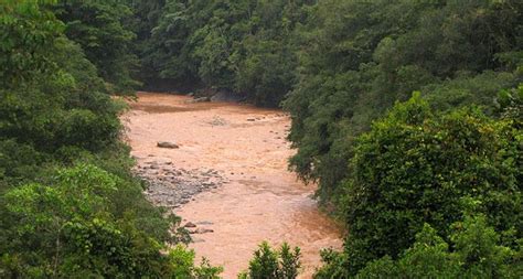 Río Putumayo - Qué conocer en Putumayo - Turismo en Colombia