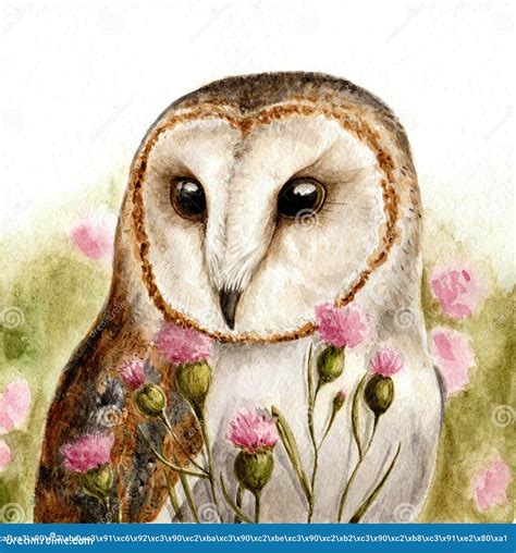 Tawny Owl Watercolor Art Stock Illustration Illustration Of Beautiful