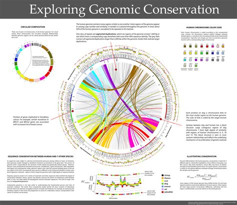 Guide To Application Of Circos In Comparative Genomics And Visualizing