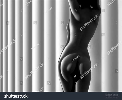 Nude Woman Sexy Artistic Black White Stock Photo Shutterstock