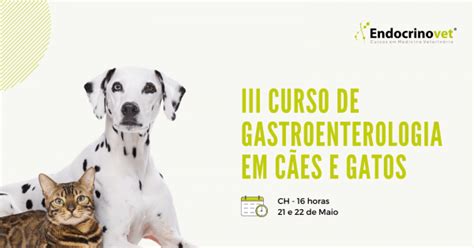 III CURSO DE GASTROENTEROLOGIA EM CÃES E GATOS online Sympla