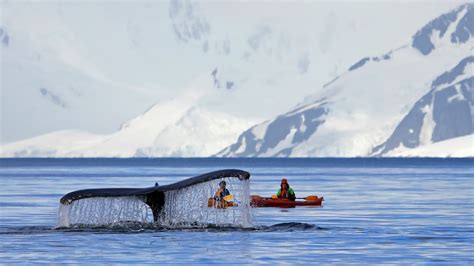 Into the Deep: An Antarctica Vacation | For the Journey of a Lifetime