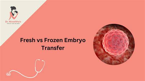 Fresh Vs Frozen Embryo Transfer Which Is Preferable