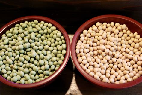 Different Types Of Soybeans