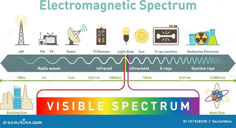 Electromagnetic Spectrum Infographic Diagram, Vector Illustration Stock ...