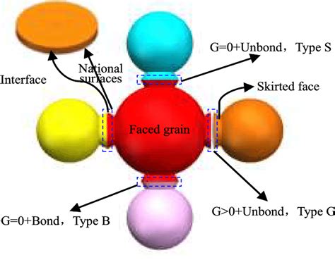 Schematic diagram of the FJM model | Download Scientific Diagram